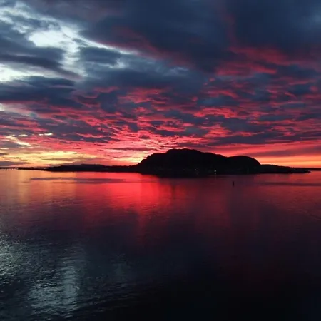 Homestayseaview Alesund Privat bolig *