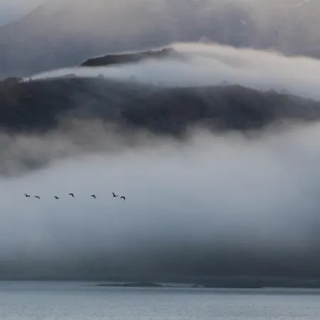 Private In With Sea View Ålesund
