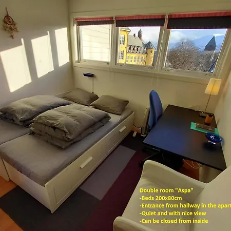 Privat bolig Homestayseaview Alesund *