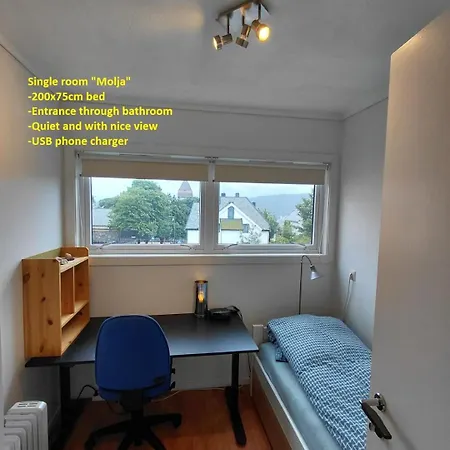Проживание в семье Homestayseaview Олесунн