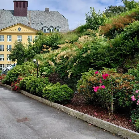 Homestayseaview Alesund Ålesund