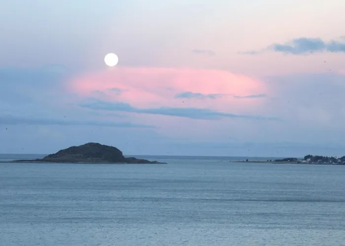 Private In With Sea View منزل للإقامة Ålesund